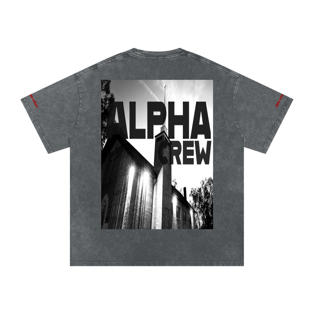 ALPHA Crew Visual Snow Washed Tee — flat lay, both colorways. 100% cotton, 7.4oz. Built for long production days.