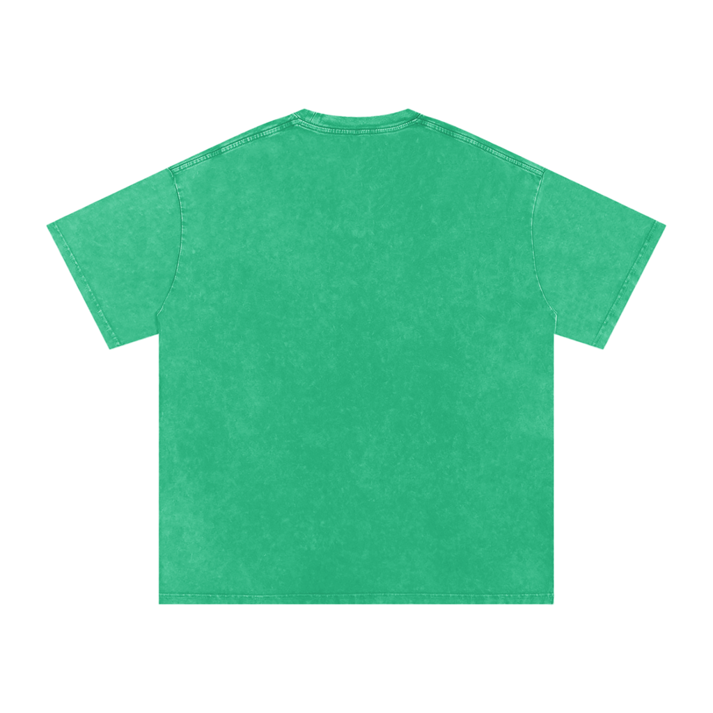 Alpha All Crew Snow Washed Oversized Cotton T-Shirt Plain